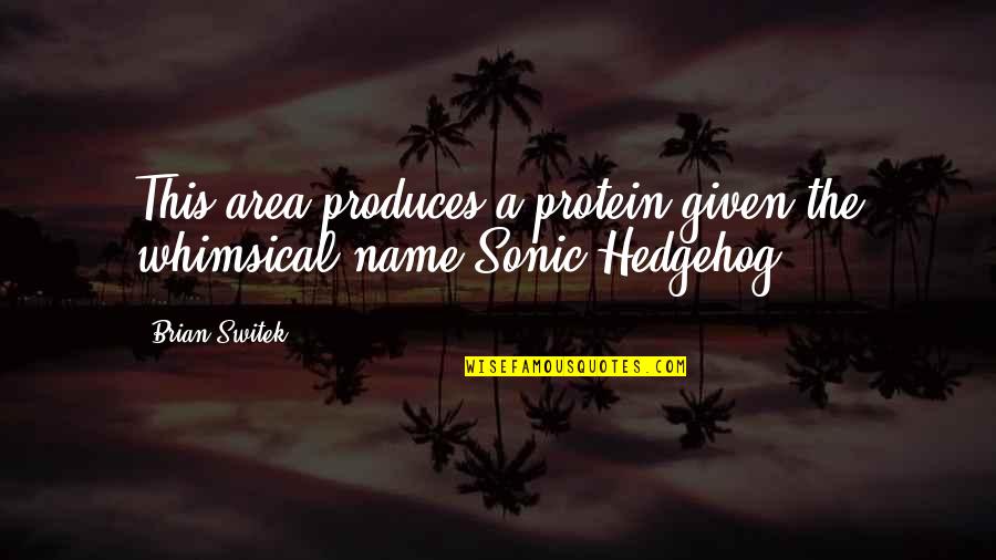 Sonic Hedgehog Quotes By Brian Switek: This area produces a protein given the whimsical