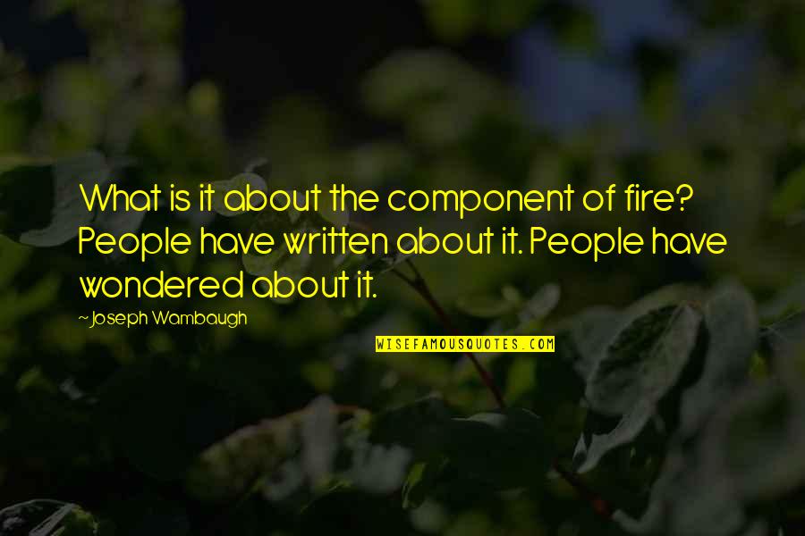 Soniya Gandhi Funny Quotes By Joseph Wambaugh: What is it about the component of fire?
