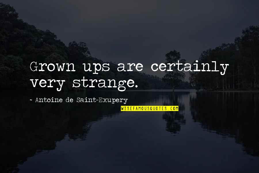Soniye Hiriye Quotes By Antoine De Saint-Exupery: Grown ups are certainly very strange.