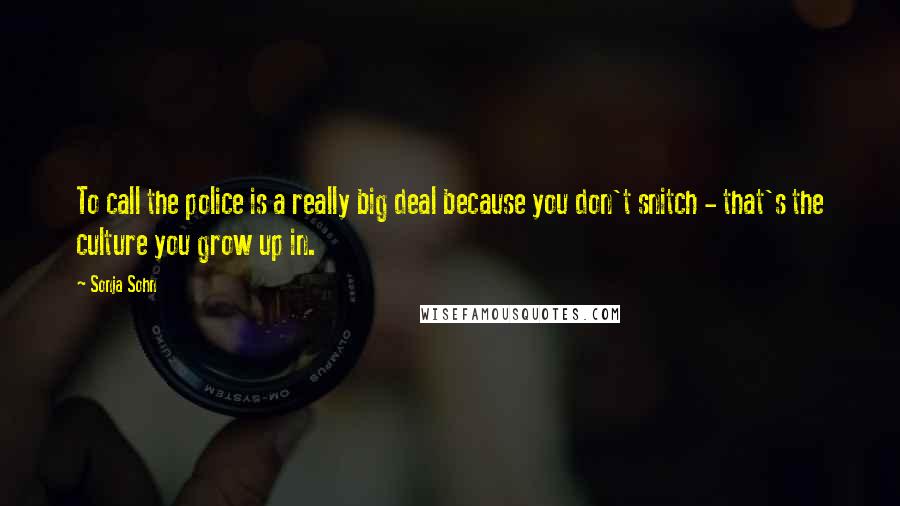 Sonja Sohn quotes: To call the police is a really big deal because you don't snitch - that's the culture you grow up in.