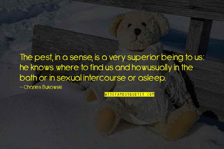 Sonneteers Muse Quotes By Charles Bukowski: The pest, in a sense, is a very