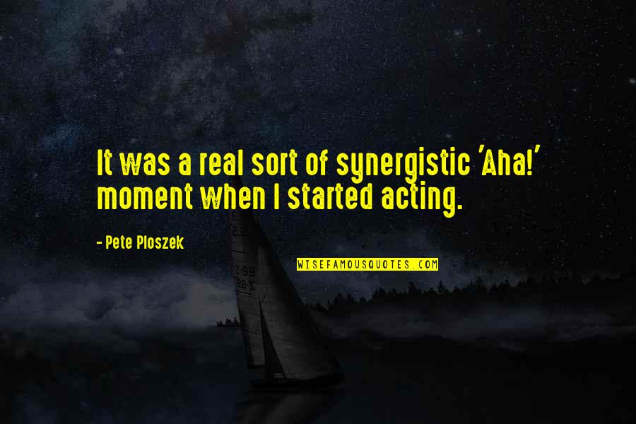 Sonnets By William Quotes By Pete Ploszek: It was a real sort of synergistic 'Aha!'