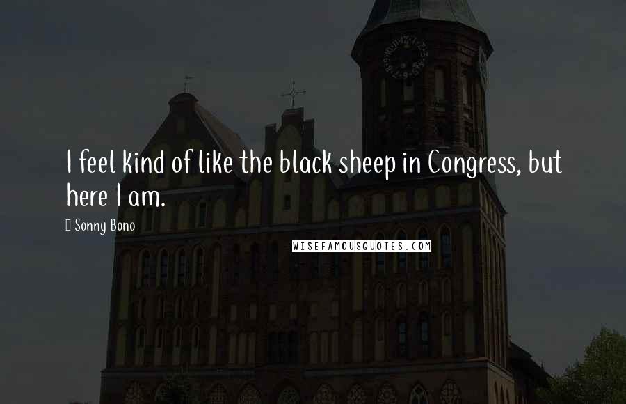 Sonny Bono quotes: I feel kind of like the black sheep in Congress, but here I am.