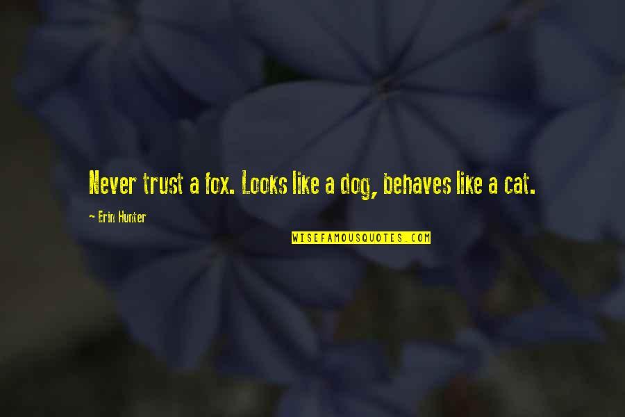 Sonorous Quotes By Erin Hunter: Never trust a fox. Looks like a dog,