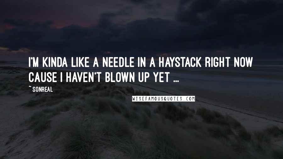 SonReal quotes: I'm kinda like a needle in a haystack right now cause I haven't blown up yet ...