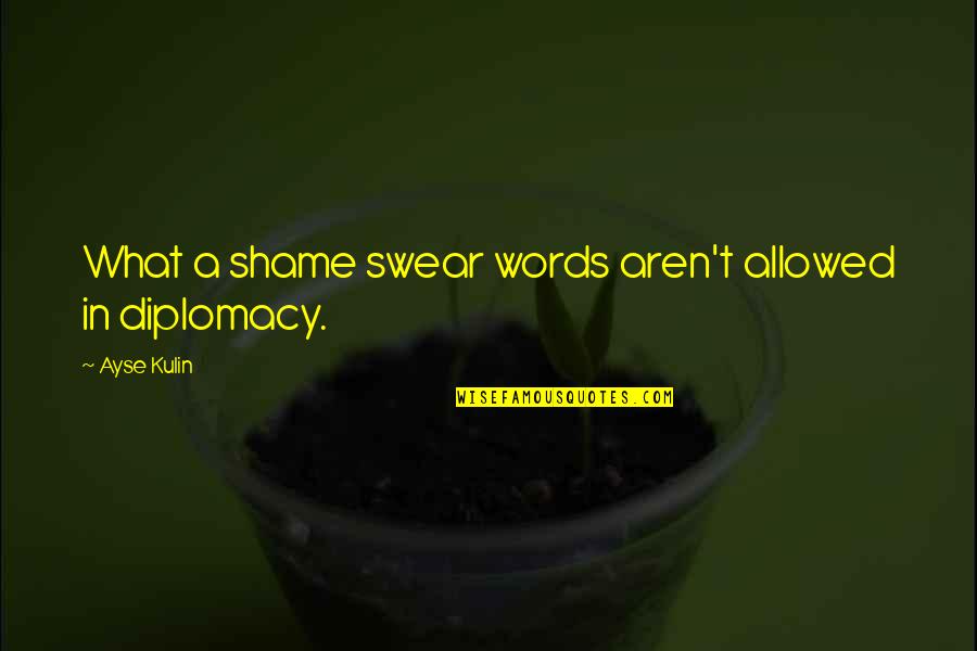 Sons Of Anarchy Pics Quotes By Ayse Kulin: What a shame swear words aren't allowed in