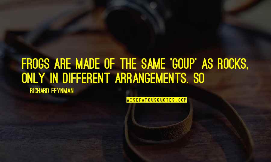 Soofia Khan Quotes By Richard Feynman: frogs are made of the same 'goup' as
