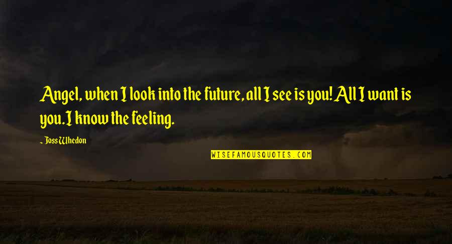 Soontorn P Quotes By Joss Whedon: Angel, when I look into the future, all