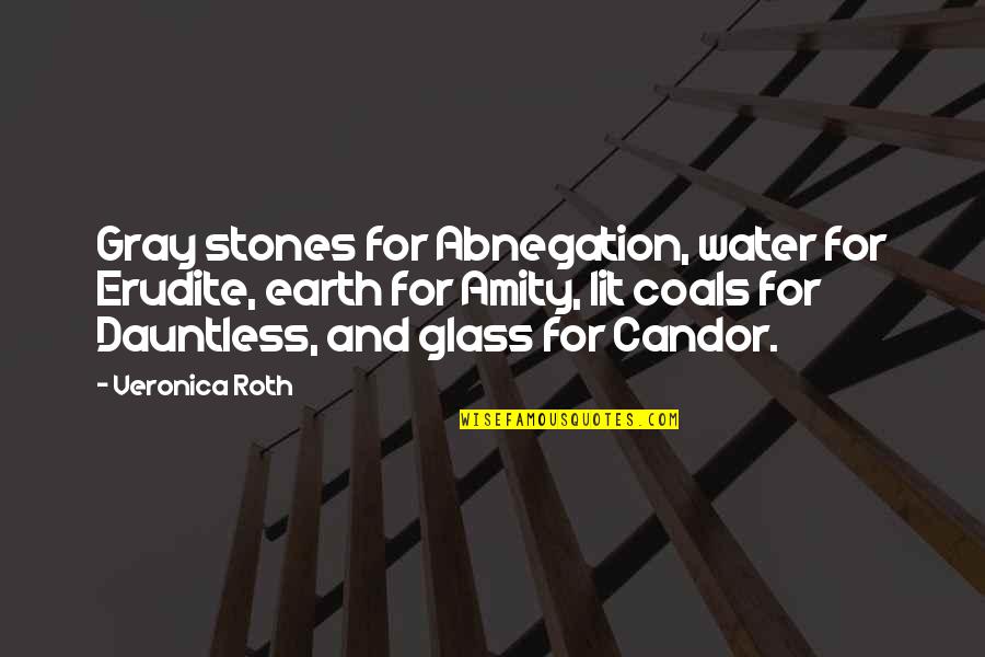 Soothing Nature Quotes By Veronica Roth: Gray stones for Abnegation, water for Erudite, earth