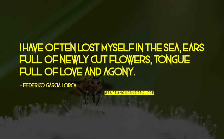 Sooty Sweep Quotes By Federico Garcia Lorca: I have often lost myself in the sea,