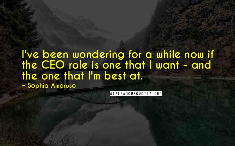 Sophia Amoruso quotes: I've been wondering for a while now if the CEO role is one that I want - and the one that I'm best at.