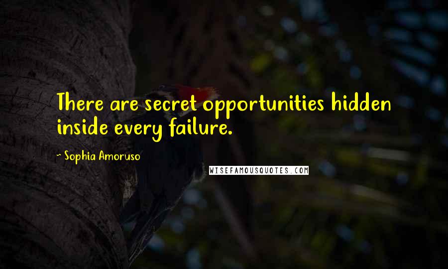 Sophia Amoruso quotes: There are secret opportunities hidden inside every failure.