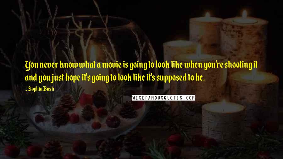 Sophia Bush quotes: You never know what a movie is going to look like when you're shooting it and you just hope it's going to look like it's supposed to be.