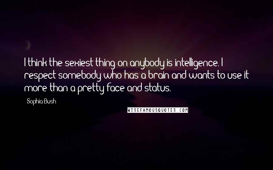 Sophia Bush quotes: I think the sexiest thing on anybody is intelligence. I respect somebody who has a brain and wants to use it more than a pretty face and status.