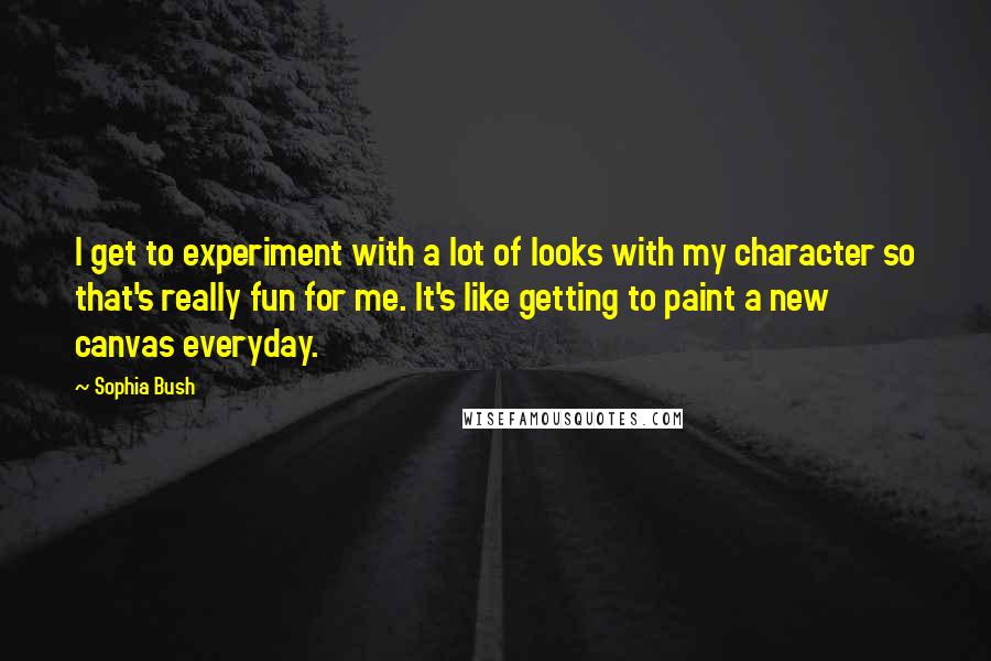 Sophia Bush quotes: I get to experiment with a lot of looks with my character so that's really fun for me. It's like getting to paint a new canvas everyday.