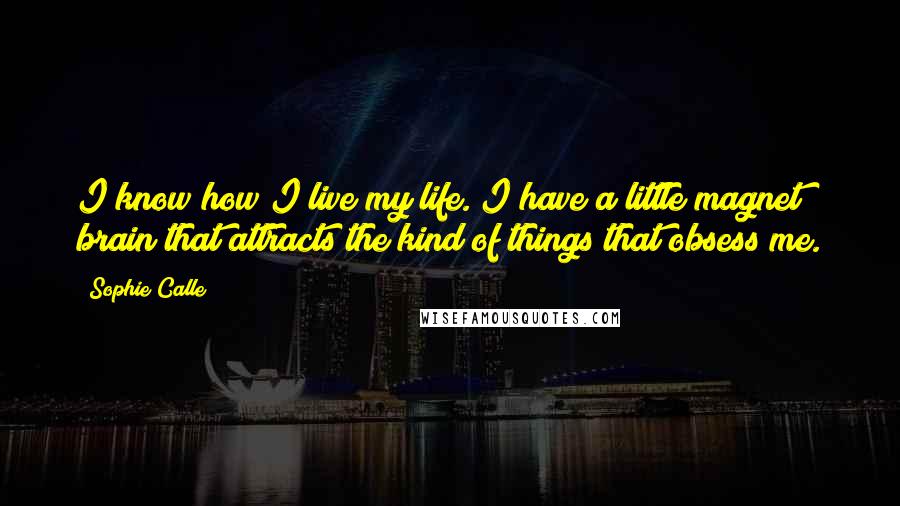 Sophie Calle quotes: I know how I live my life. I have a little magnet brain that attracts the kind of things that obsess me. Sophie Calle quotes: I know how I live my life. I have a little magnet brain that attracts the kind of things that obsess me.