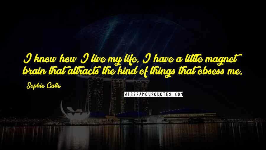 Sophie Calle quotes: I know how I live my life. I have a little magnet brain that attracts the kind of things that obsess me.