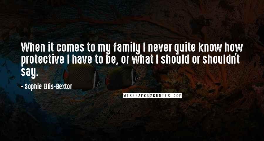 Sophie Ellis-Bextor quotes: When it comes to my family I never quite know how protective I have to be, or what I should or shouldn't say.