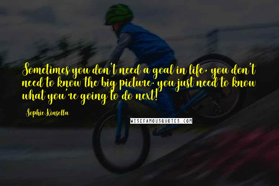 Sophie Kinsella quotes: Sometimes you don't need a goal in life, you don't need to know the big picture. you just need to know what you're going to do next! Sophie Kinsella quotes: Sometimes you don't need a goal in life, you don't need to know the big picture. you just need to know what you're going to do next!