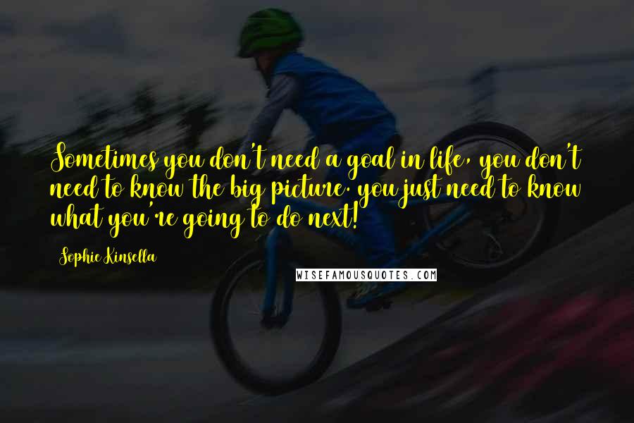 Sophie Kinsella quotes: Sometimes you don't need a goal in life, you don't need to know the big picture. you just need to know what you're going to do next!