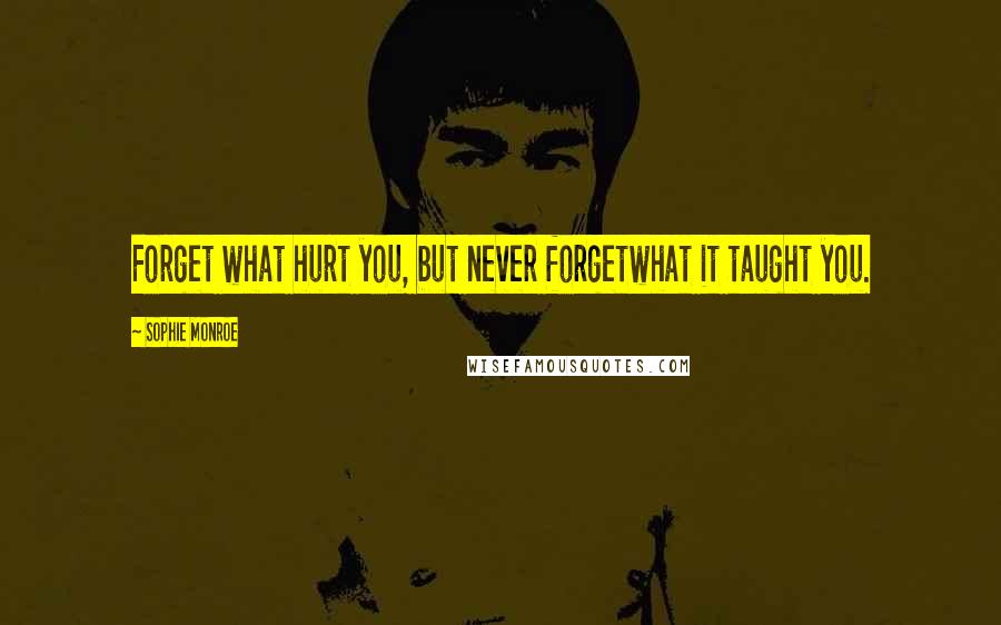 Sophie Monroe quotes: Forget what hurt you, but never forgetwhat it taught you.