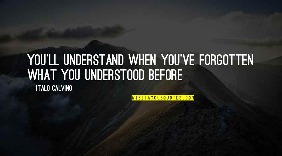 Sophism Quotes By Italo Calvino: You'll understand when you've forgotten what you understood