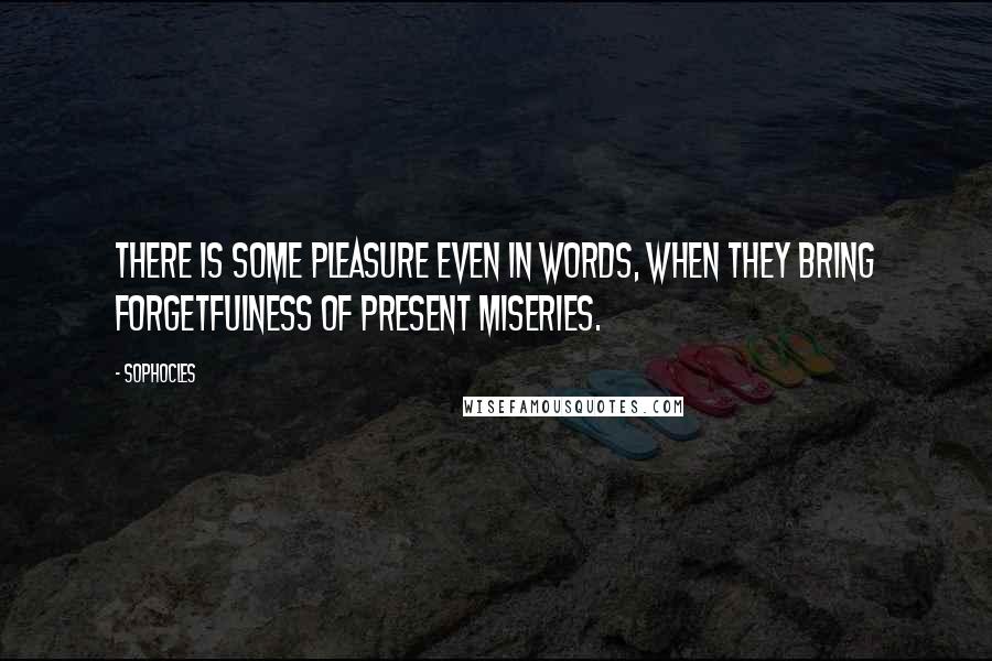 Sophocles quotes: There is some pleasure even in words, when they bring forgetfulness of present miseries.