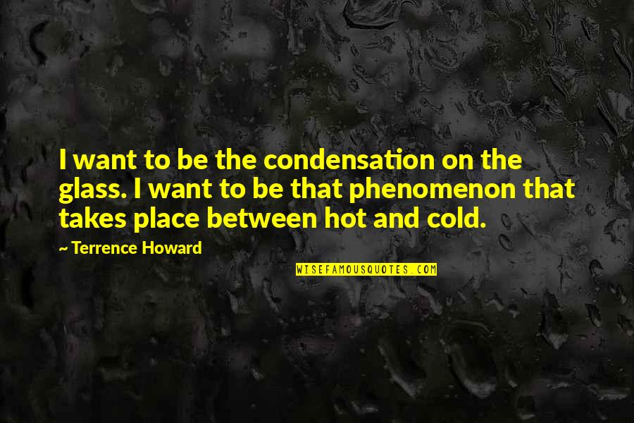 Sopio Putkaradze Quotes By Terrence Howard: I want to be the condensation on the
