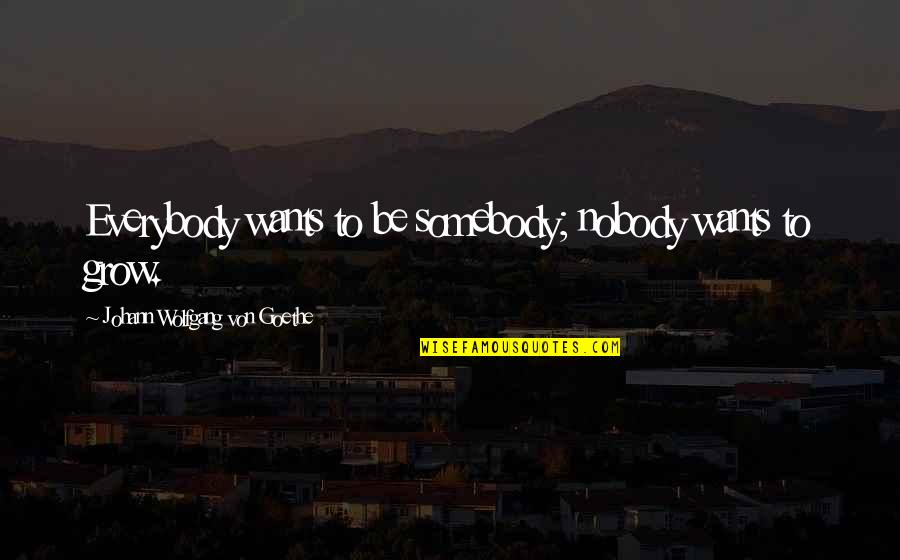 Soportar I Perdonar Quotes By Johann Wolfgang Von Goethe: Everybody wants to be somebody; nobody wants to