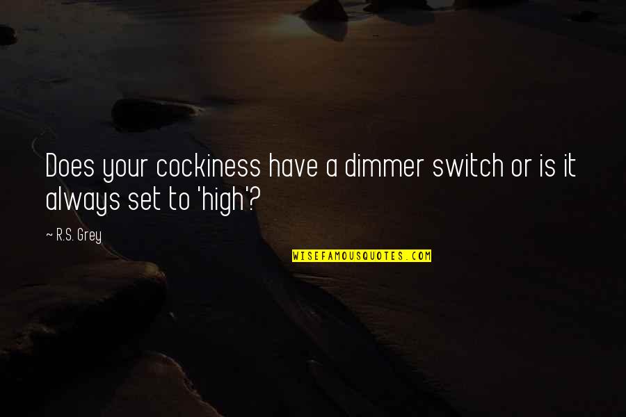 Sopris Quotes By R.S. Grey: Does your cockiness have a dimmer switch or