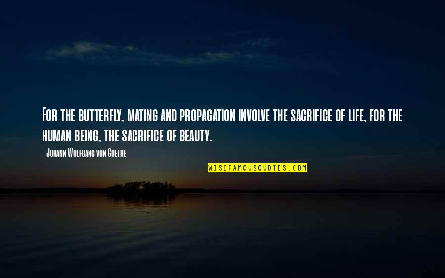 Soptic's Quotes By Johann Wolfgang Von Goethe: For the butterfly, mating and propagation involve the