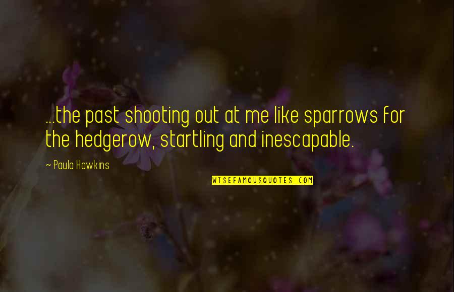 Sorbet Ingredients Quotes By Paula Hawkins: ...the past shooting out at me like sparrows