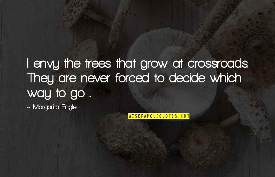 Sorbitol And Dogs Quotes By Margarita Engle: I envy the trees that grow at crossroads. Sorbitol And Dogs Quotes By Margarita Engle: I envy the trees that grow at crossroads.