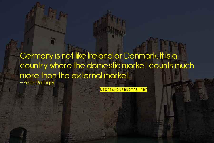 Sorbon Quotes By Peter Bofinger: Germany is not like Ireland or Denmark. It