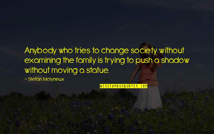 Sorella Apothecary Quotes By Stefan Molyneux: Anybody who tries to change society without examining Sorella Apothecary Quotes By Stefan Molyneux: Anybody who tries to change society without examining