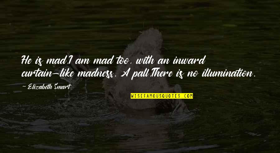 Soren Kierkegaard Absurdism Quotes By Elizabeth Smart: He is mad.I am mad too, with an