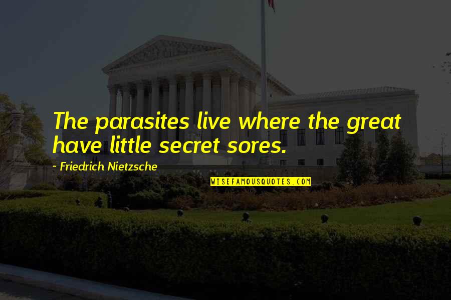 Sores Quotes By Friedrich Nietzsche: The parasites live where the great have little