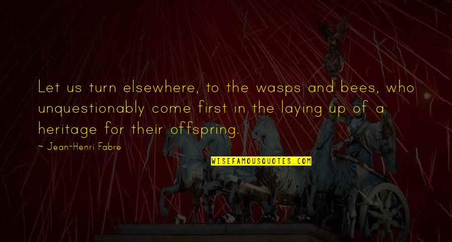 Sorgenti Dacqua Quotes By Jean-Henri Fabre: Let us turn elsewhere, to the wasps and