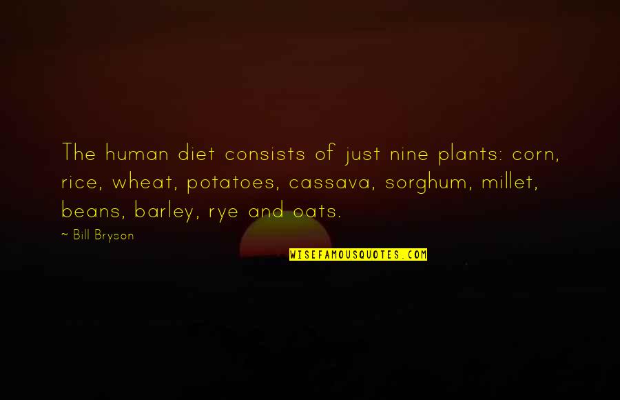 Sorghum Quotes By Bill Bryson: The human diet consists of just nine plants: