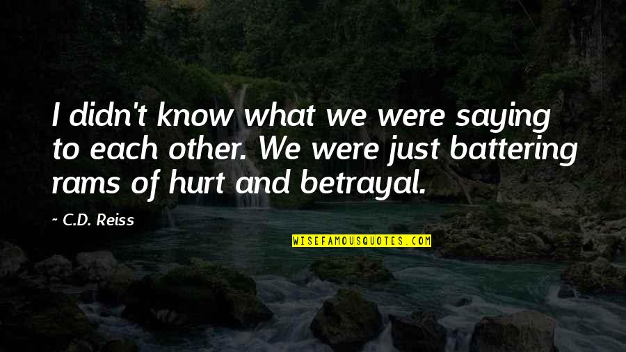 Sorginak Quotes By C.D. Reiss: I didn't know what we were saying to Sorginak Quotes By C.D. Reiss: I didn't know what we were saying to