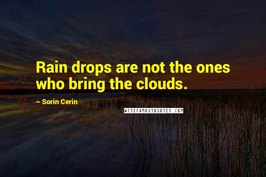 Sorin Cerin quotes: Rain drops are not the ones who bring the clouds.
