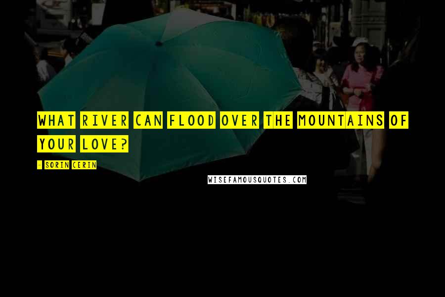 Sorin Cerin quotes: What river can flood over the mountains of your love?