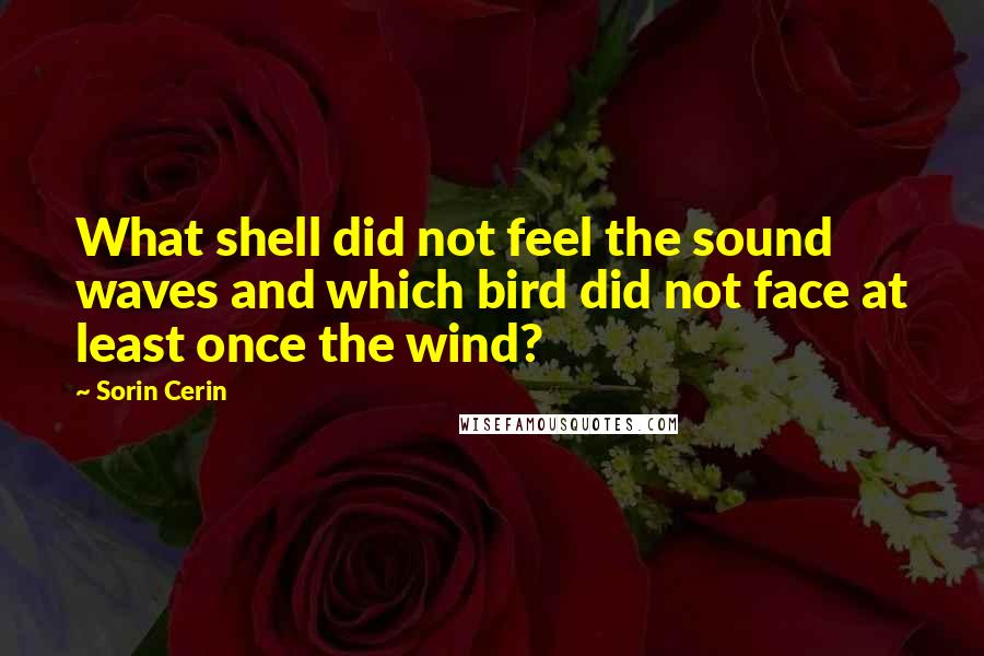 Sorin Cerin quotes: What shell did not feel the sound waves and which bird did not face at least once the wind?