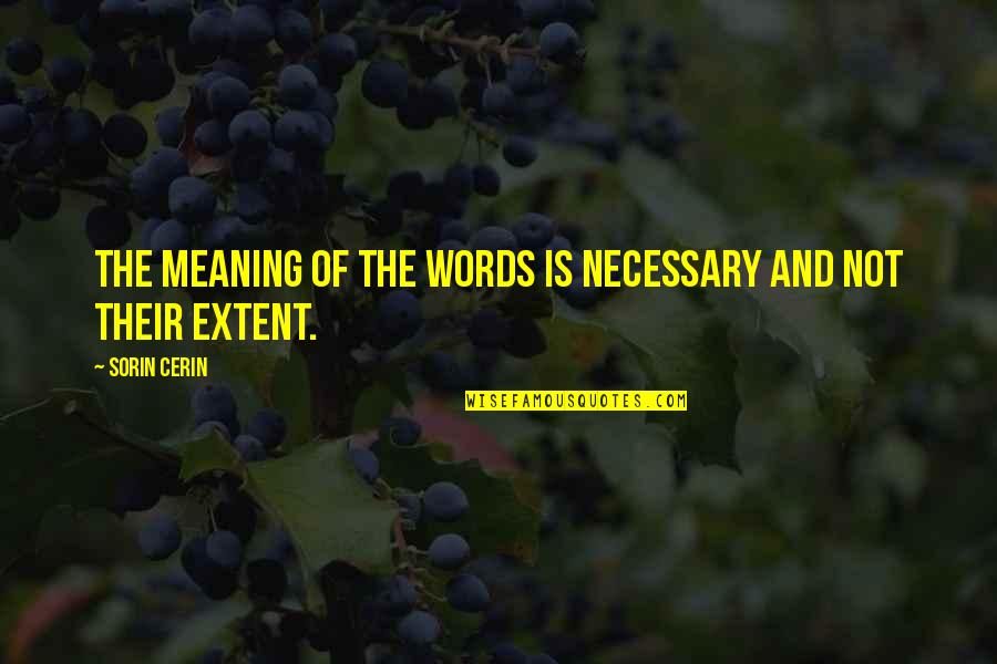 Sorin Quotes By Sorin Cerin: The meaning of the words is necessary and