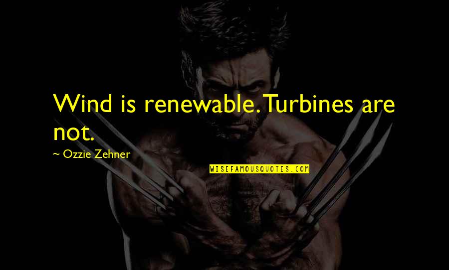 Sorina Quotes By Ozzie Zehner: Wind is renewable. Turbines are not.