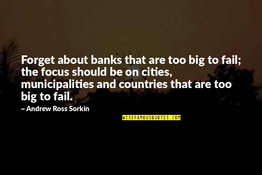 Sorkin Quotes By Andrew Ross Sorkin: Forget about banks that are too big to