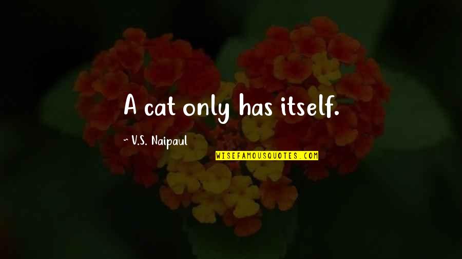 Sormuus Quotes By V.S. Naipaul: A cat only has itself. Sormuus Quotes By V.S. Naipaul: A cat only has itself.