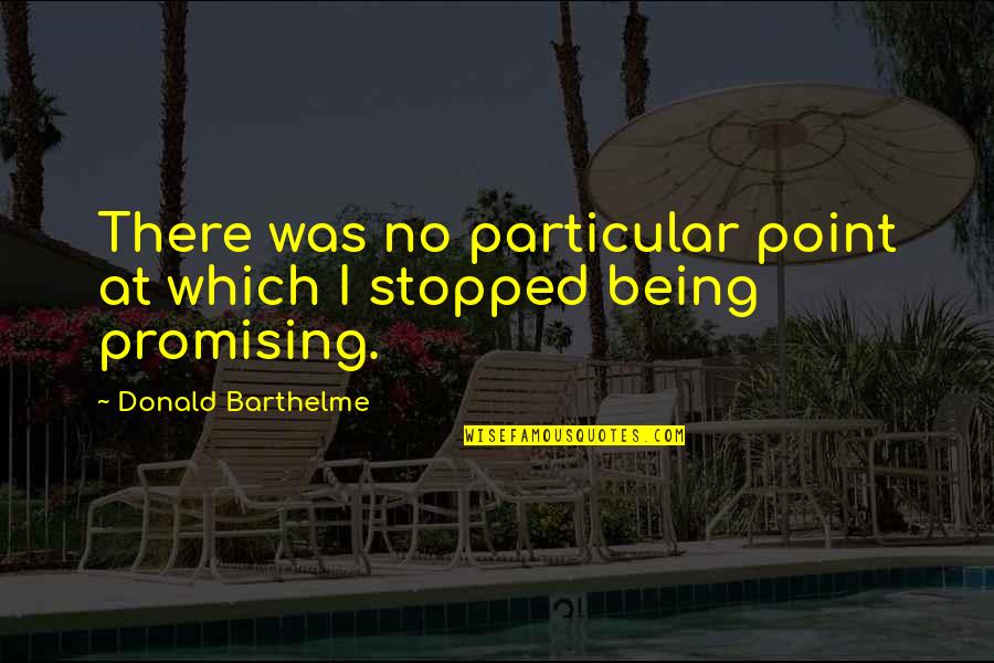 Sorrentino Quotes By Donald Barthelme: There was no particular point at which I