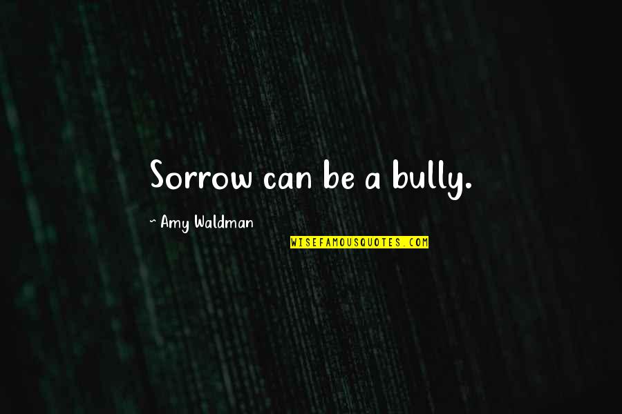 Sorrow And Healing Quotes By Amy Waldman: Sorrow can be a bully.