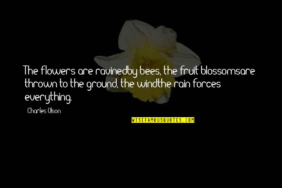 Sorrow And Regret Quotes By Charles Olson: The flowers are ravinedby bees, the fruit blossomsare